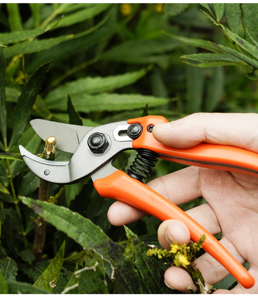 佰世园艺新款家用花艺树枝剪园林果树粗枝剪园艺工具五金剪刀详情9