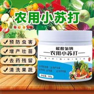 洗衣机洗衣球去污防缠绕家用魔力大号机洗搓衣洗衣服清洁神器摩擦详情11
