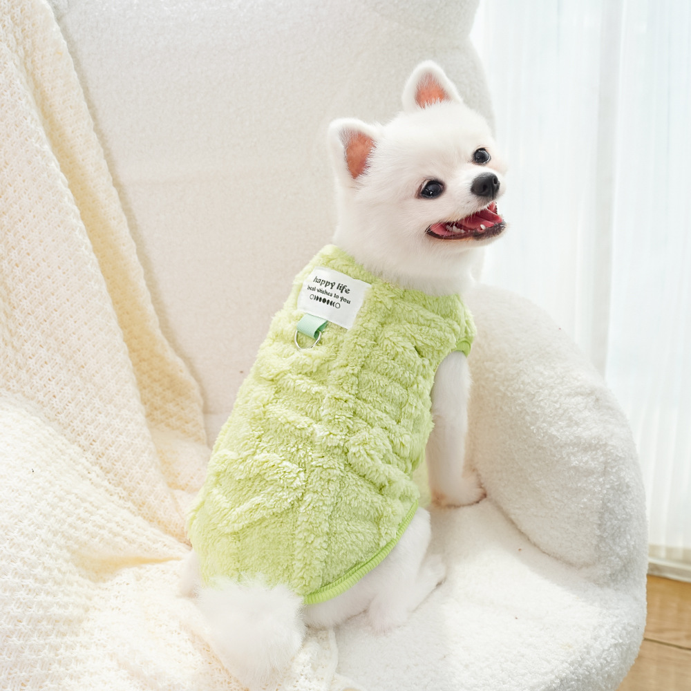 Ropa para perros invierno teddy by bears pomerania small dog mascotas otoño invierno plus peluche tracción peluche suministros para gatos pic 4