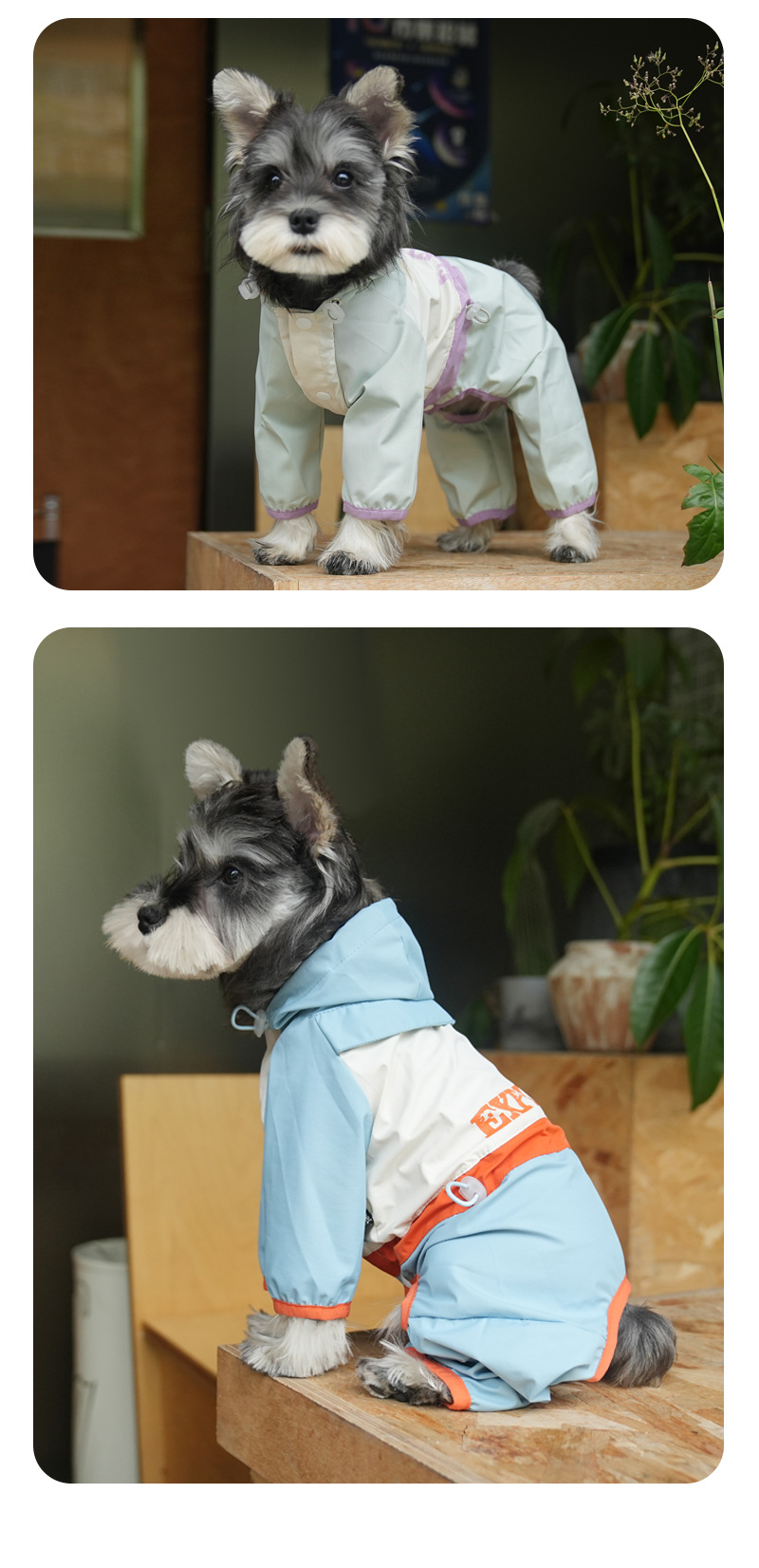 狗狗春夏冲锋雨衣糖果撞色四腿遛狗服泰迪雪纳瑞中小型犬衣服批发详情11