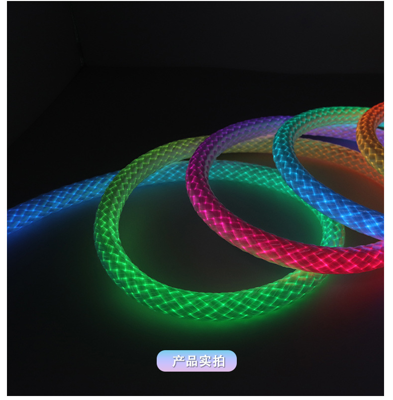 跨境专供龙纹编织幻彩灯带LED霓虹灯10mm防水Led柔性霓虹灯条形灯详情18