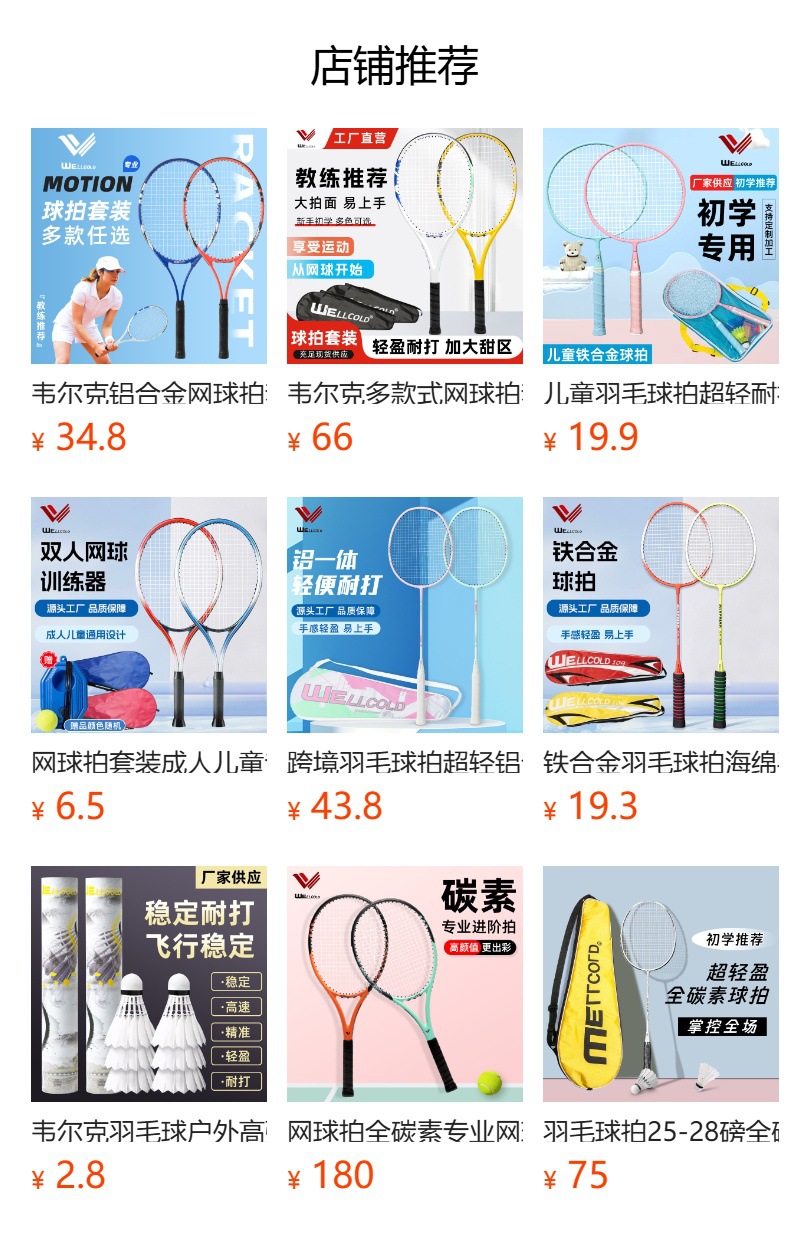 铁合金羽毛球拍女开学季初学者成人超轻训练羽毛球包套装男批发详情1