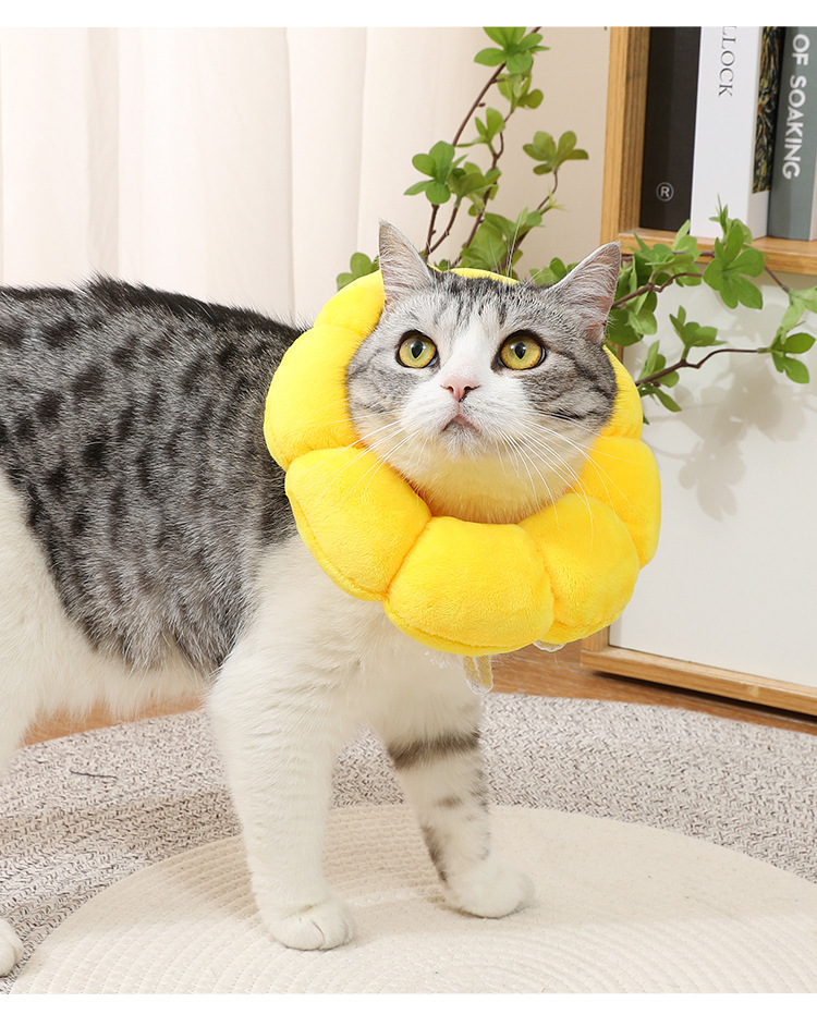太阳花伊丽莎白圈 宠物项圈猫咪伊丽莎白项圈狗项圈绝育防舔头套详情24