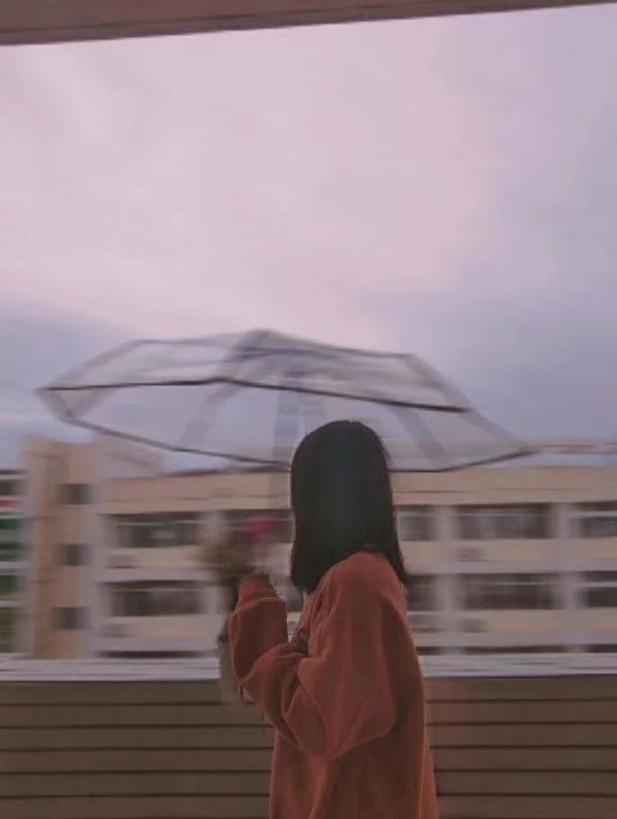 韩系透明雨伞折叠伞全自动ins系列男女款三折伞小清新加厚加固无详情6