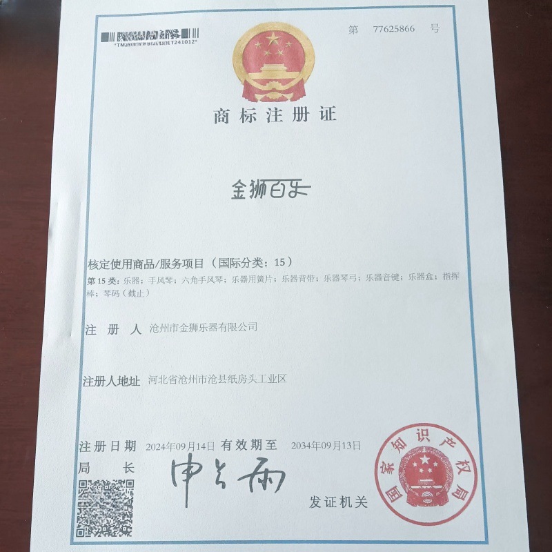 正品百乐手风琴120BS 901演奏琴 903回声41键203 45键205自由低音详情2