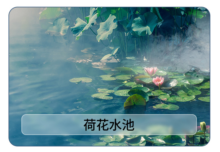 Ultrasonic atomization plates with four, six or ten heads for water pools, fish ponds, artificial hills and landscapes, atomization heads for creating fog and spraying pic 7