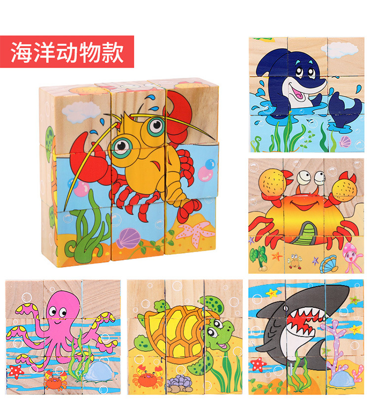 9粒六面画立体拼图块儿童益智力早教幼儿园积木质制玩具变脸魔方详情12