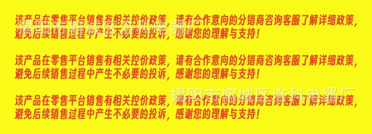 直板夹直发卷发两用不伤发可调温拉直电夹板刘海小型熨板器卷发棒详情2