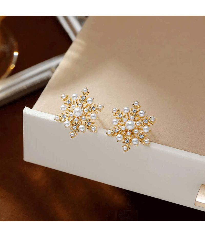 Hyacinth925 Silver Needle Exquisite Zircon Snowflake Stud Earrings Autumn/Winter 2026 New bestseller, high-end and unique design earrings for women pic 4