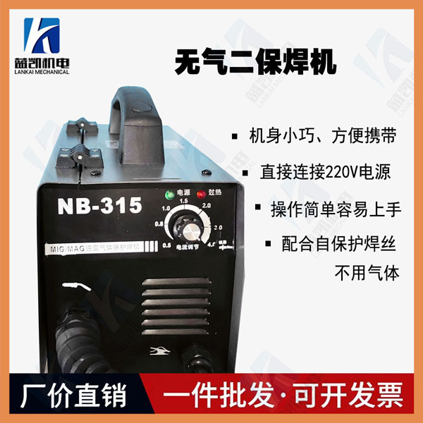 Ruiling Electric welding Machine 200, 250, 315 inverter pure copper mini household 220V small and convenient dual-voltage welding machine pic 3