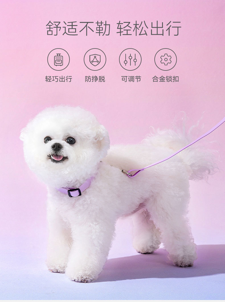 马卡龙色狗狗牵引绳中小型犬可调节项圈遛狗绳子宠物外出栓狗用品详情1