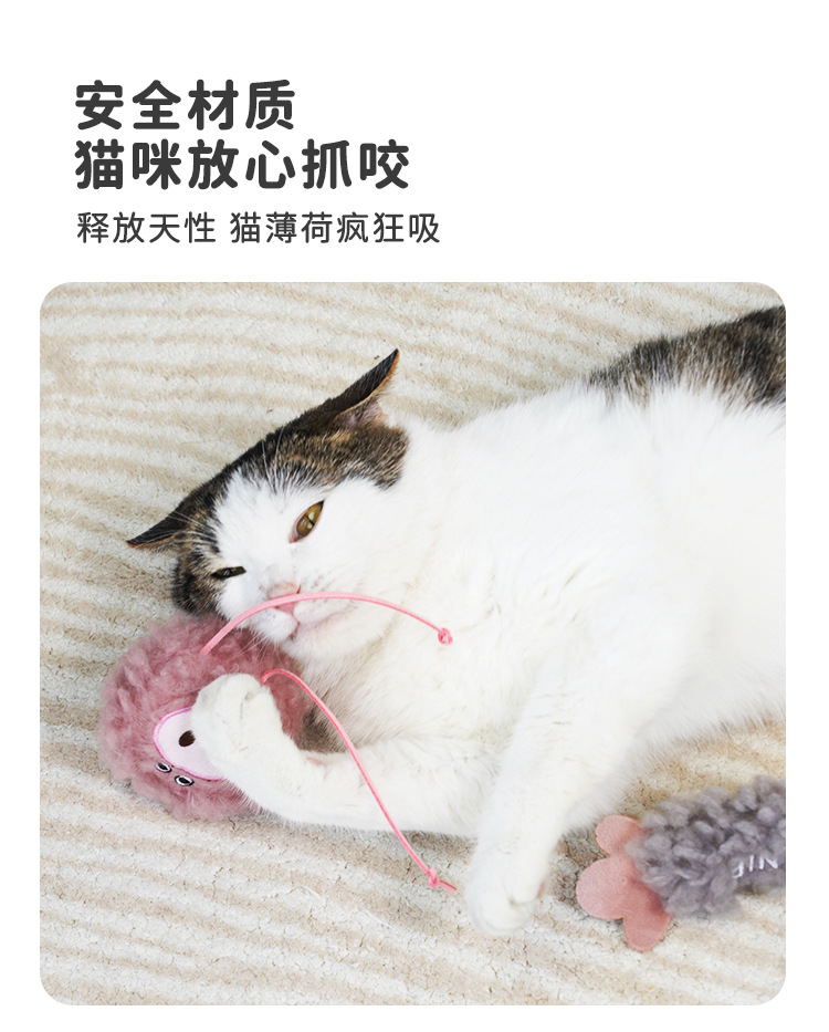 猫玩具自嗨解闷可爱毛绒猫薄荷逗猫棒幼猫磨牙老鼠悬挂猫咪玩具详情4