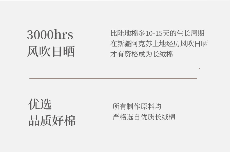 高跟鞋袜子女夏季薄款船袜吊带浅口隐形袜防滑不掉跟冰丝半掌袜详情11