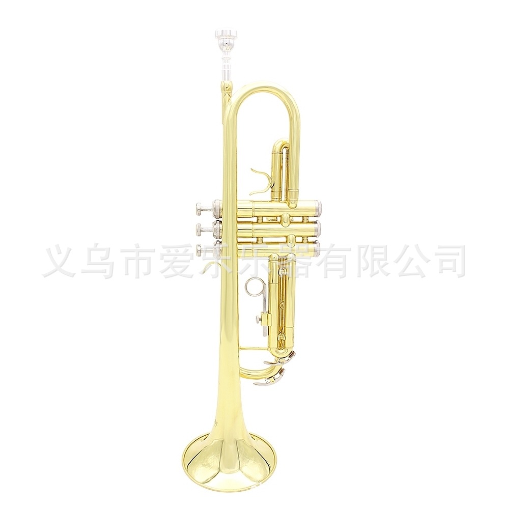 Student and adult performance of Trumpet, a brass trumpet in B-flat pic 10