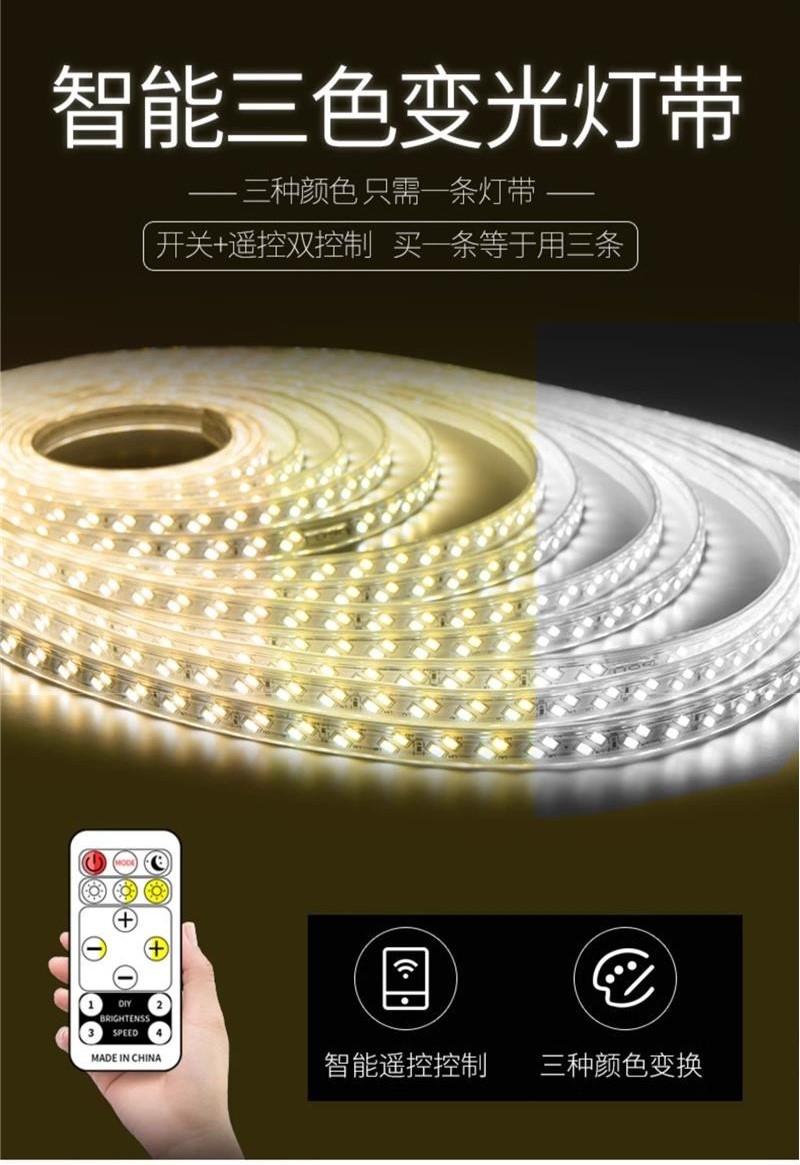 led三色变光灯带外贸专供220V室内吊顶新年氛围超亮户外防水灯条详情18