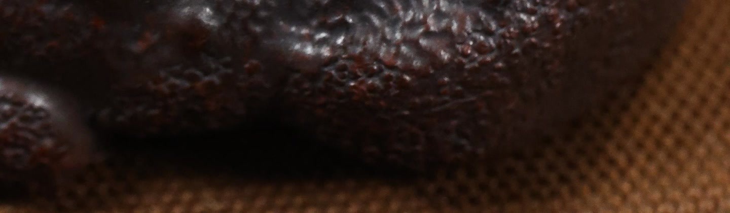 紫砂茶宠地包天金蟾三足金蟾原矿紫泥手工精制底部精美刻绘摆件详情19