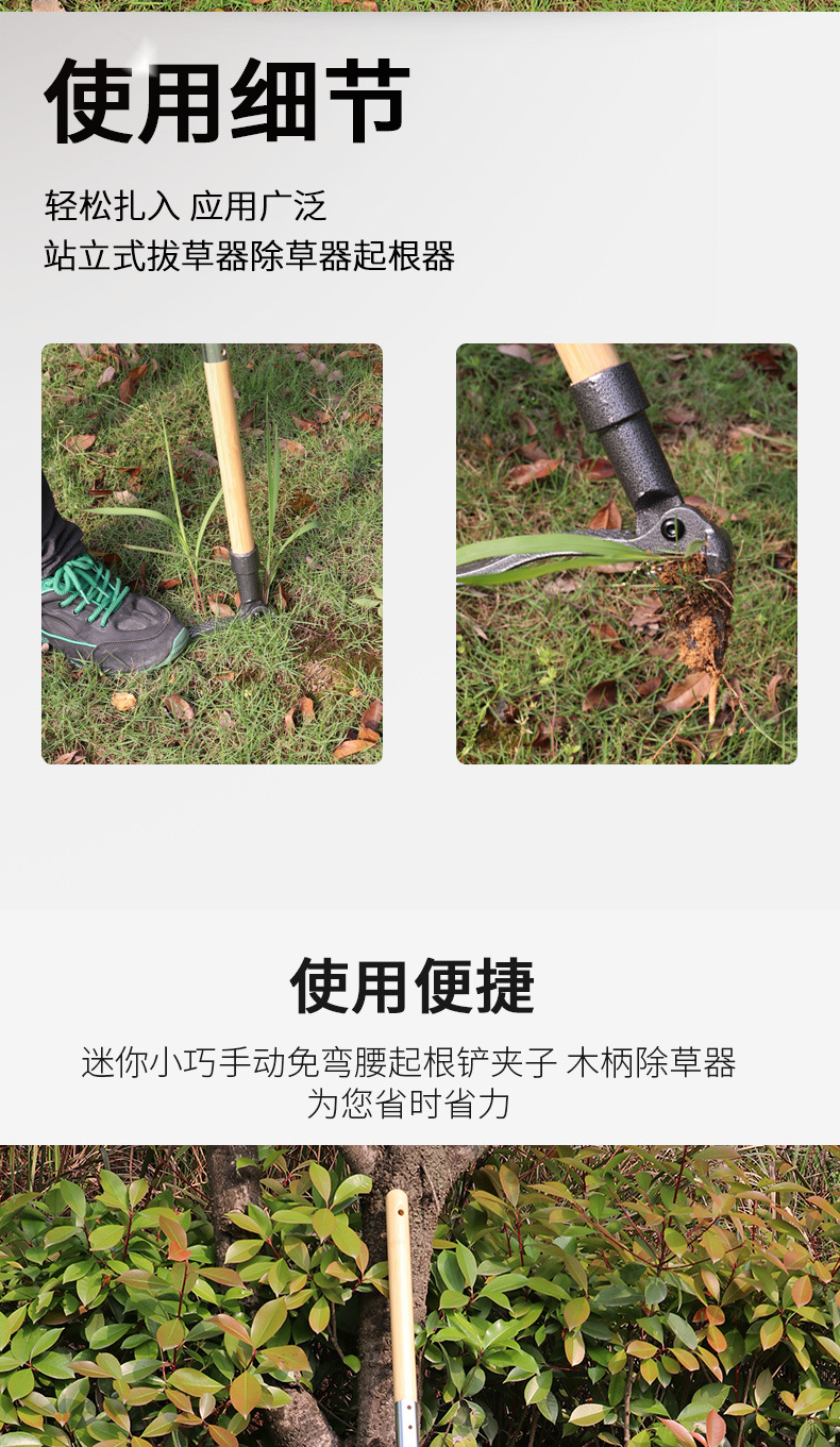New type of standing lawn mower, weeding device, root remover, manual non-bending root remover, clamps, wooden handle weeding device pic 2