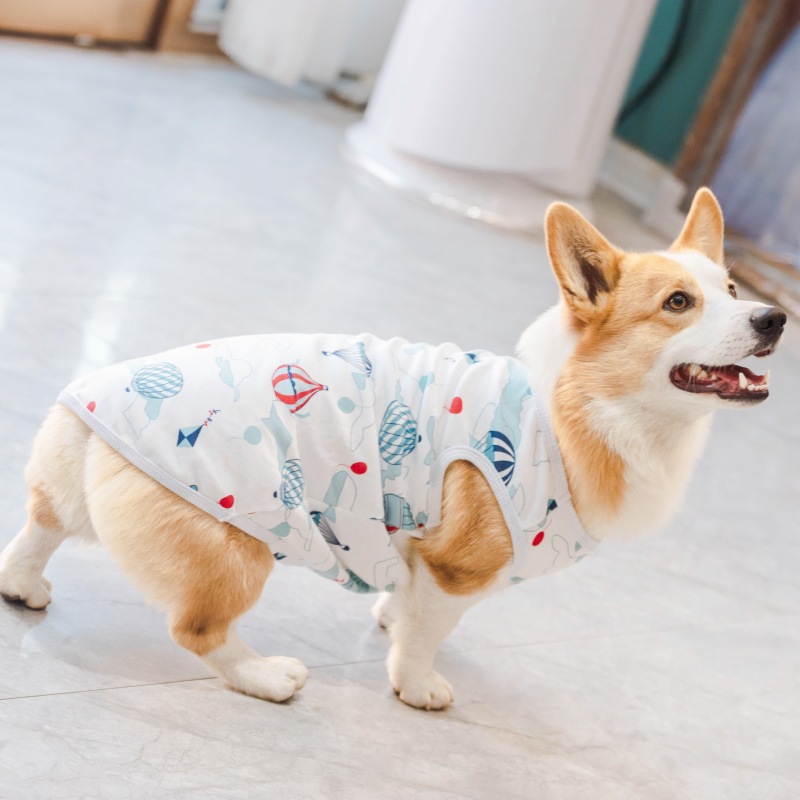 狗狗背心四季款宠物T恤可爱卡通狗狗服装印花中型犬幼犬现货批发详情21