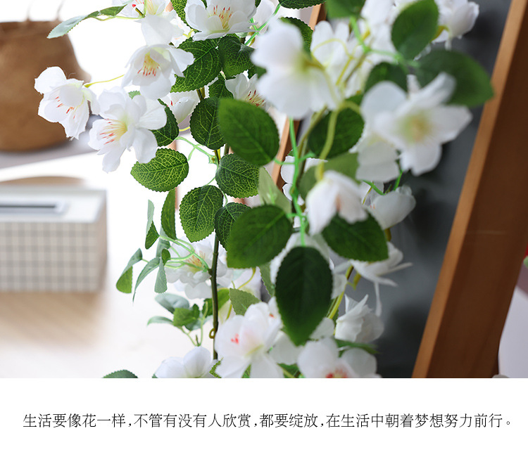 樱花_09.jpg