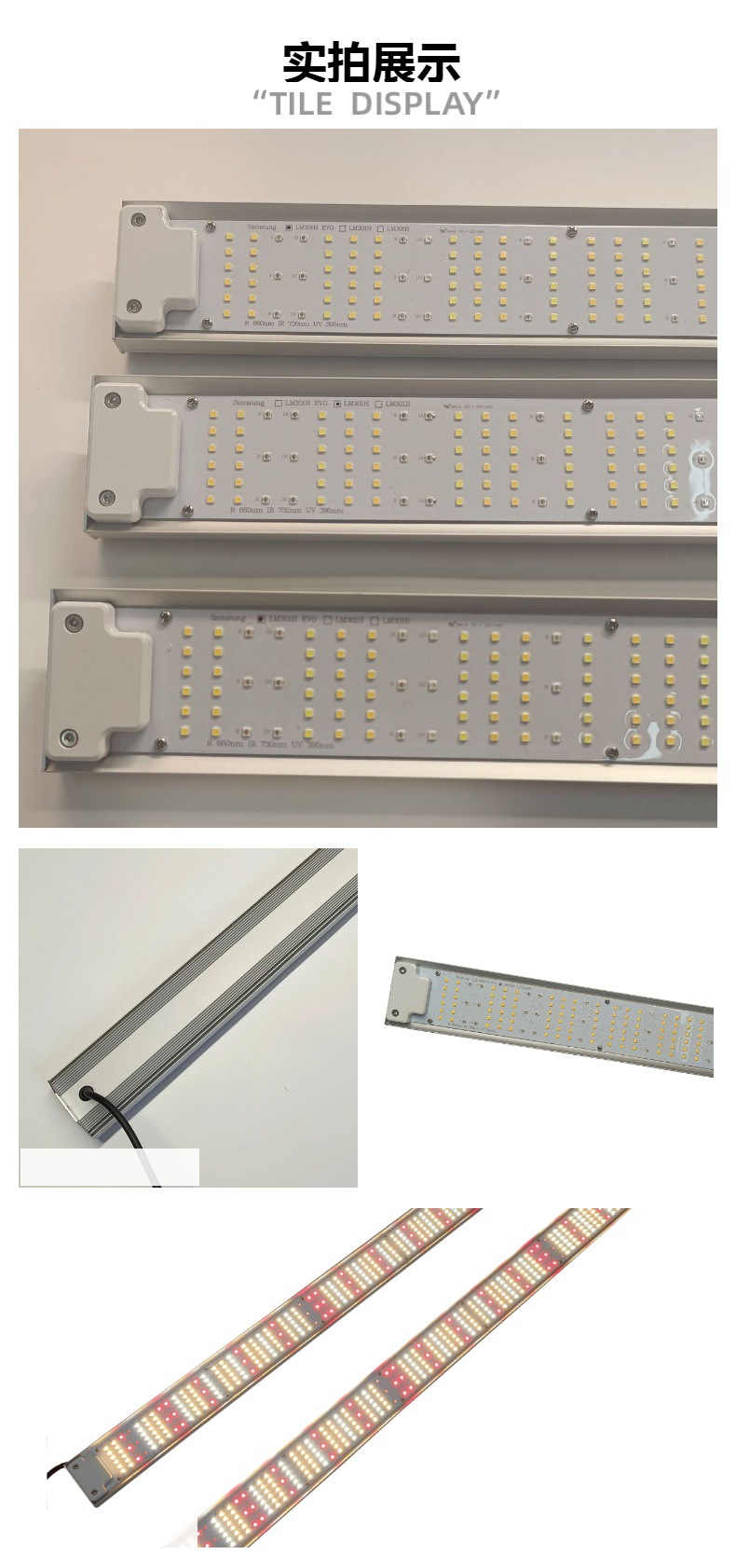 Abbott full-spectrum plant supplementary lighting: Rose, Orchid, turtle-back bamboo, heat-planted plant LED plant growth lamp pic 6