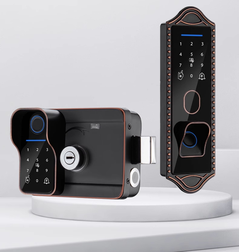 Bull head lock, electronic lock, anti-theft door, courtyard fingerprint lock, apartment iron gate, graffiti all smart lock, old-fashioned combination lock pic 2