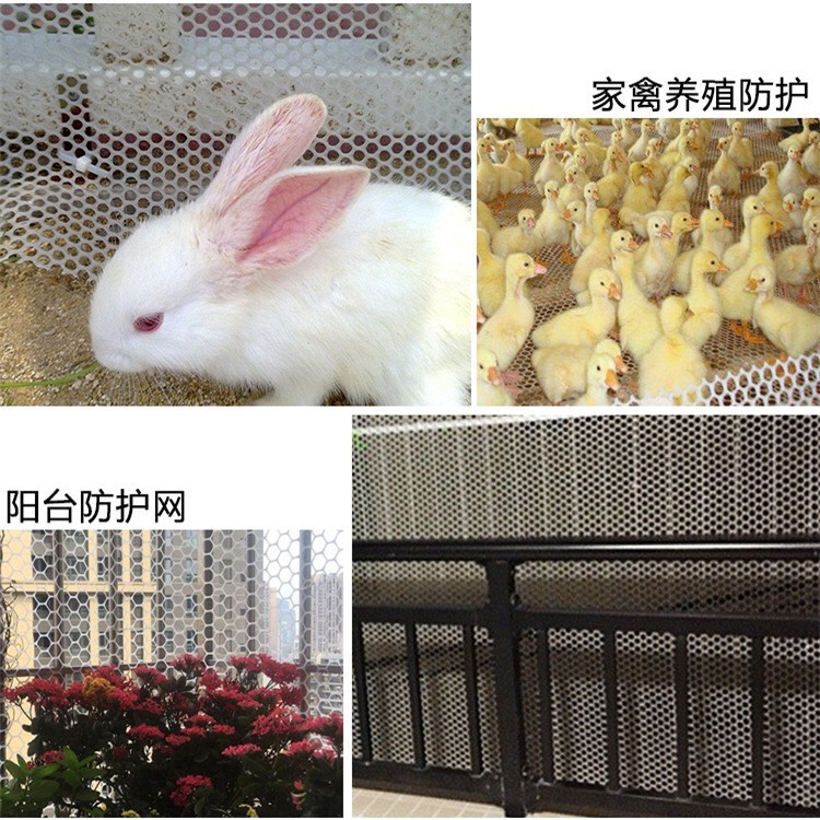 塑料平网阳台安全防护网现货围栏隔离塑料网格窗户防掉防盗垫网详情19