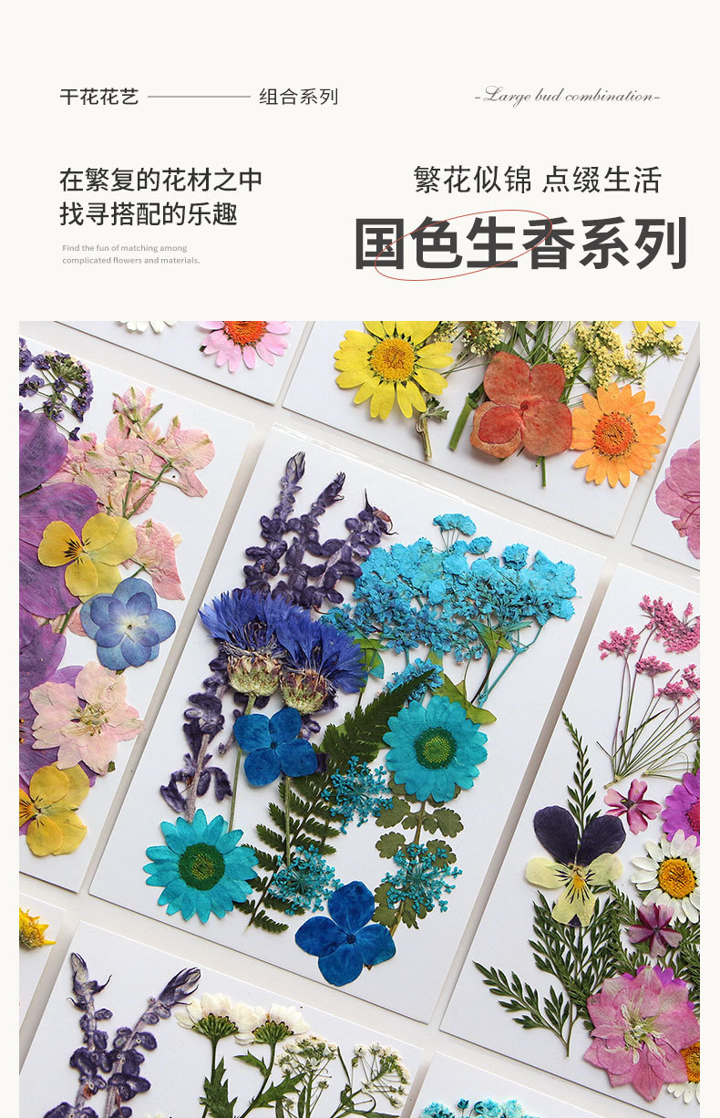 新款干花压花材料包贴脸装饰眼角写真花瓣diy滴胶相框植物标本详情5