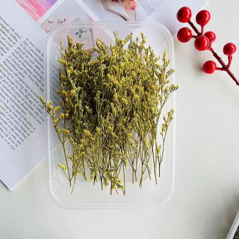干果肉桂干花diy材料包天然植物蜡烛手工石膏制作装饰勿忘我满天详情4