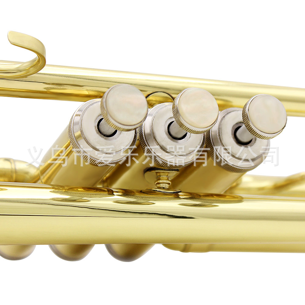 Student and adult performance of Trumpet, a brass trumpet in B-flat pic 17