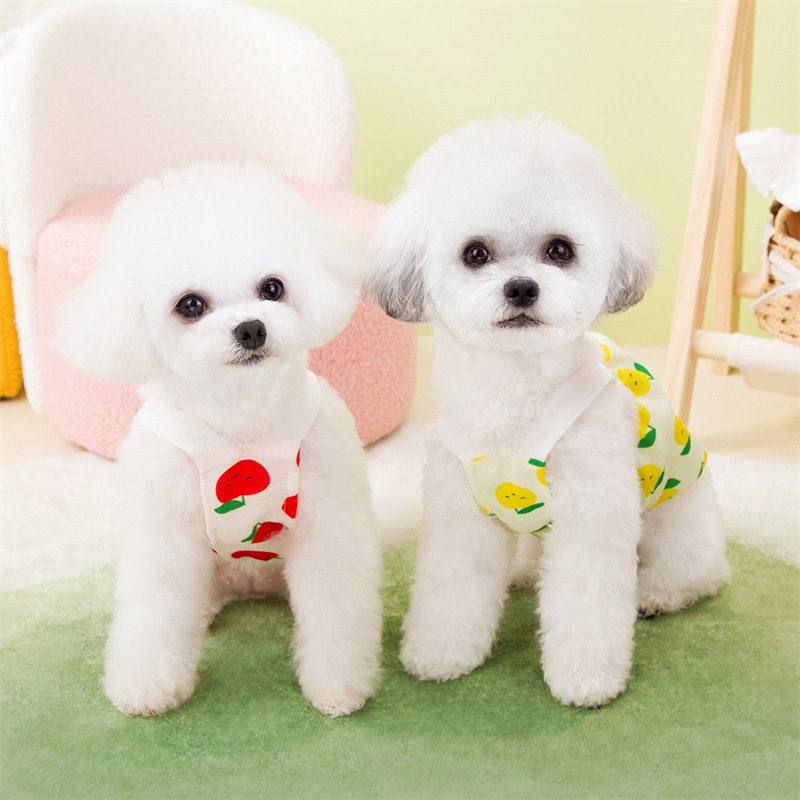 宠物裙子原厂批发春夏新款宠物狗狗猫咪裙子可爱舒适叶子水果裙详情3