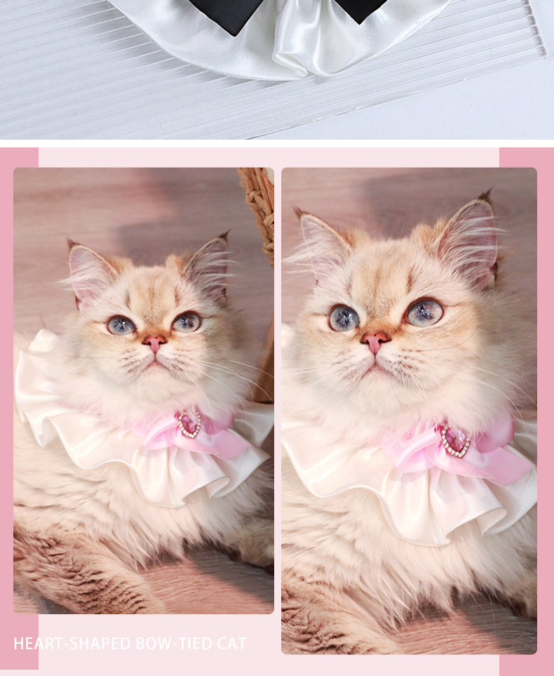 宠物口水巾蝴蝶结猫咪围脖蕾丝蝴蝶结款小猫口水巾项圈宠物围巾详情12