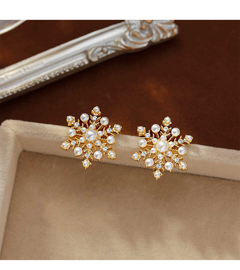 Hyacinth925 Silver Needle Exquisite Zircon Snowflake Stud Earrings Autumn/Winter 2026 New bestseller, high-end and unique design earrings for women pic 5