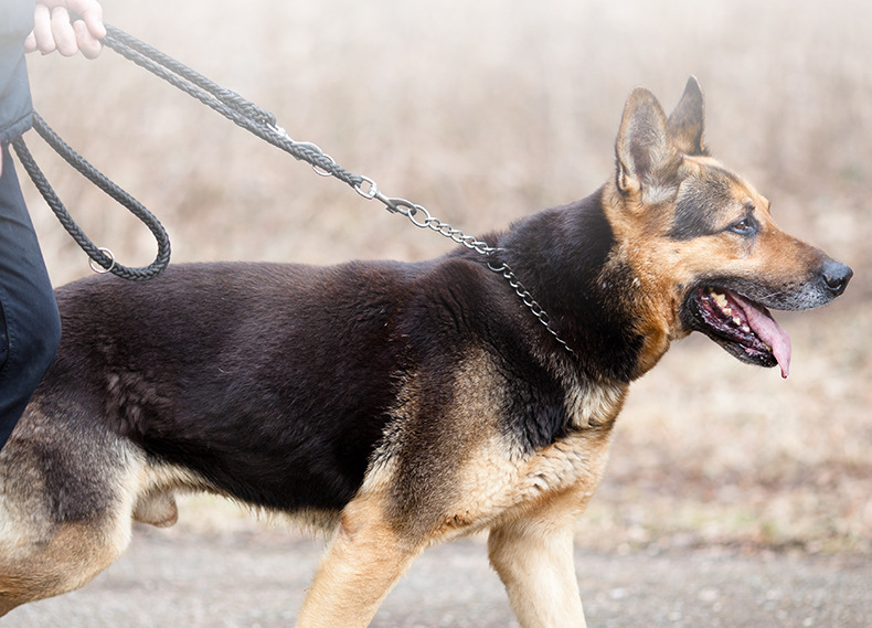 Wholesale of pet supplies in the form of a vest from a manufacturer, export dog chains, and extendable for large dogs pic 6