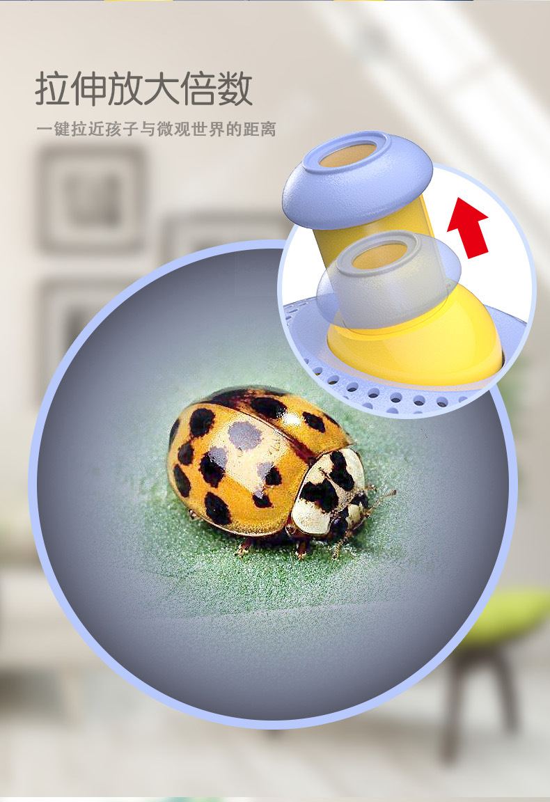 批发多功能放大镜小动物生物观察器儿童科学探索教具幼儿园实验详情22