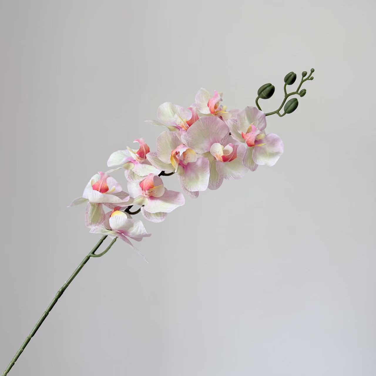 9头蝴蝶兰仿真花手感高级感逼真假花兰花艺场景布置酒店婚庆用花详情29