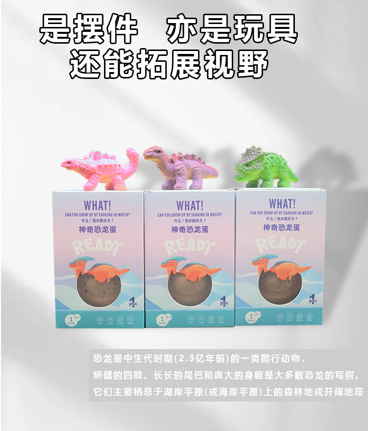 无异味跨境超大恐龙孵化蛋礼盒泡水膨胀儿童益智玩具批发详情9