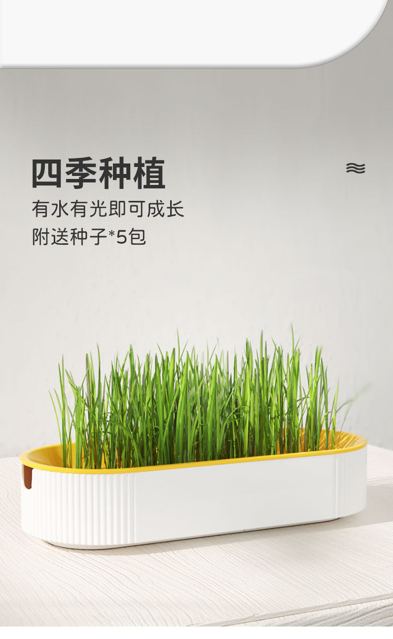 猫咪新款水培猫草盒 猫咪猫零食猫薄荷种植无土猫草套宠物猫草盒详情7