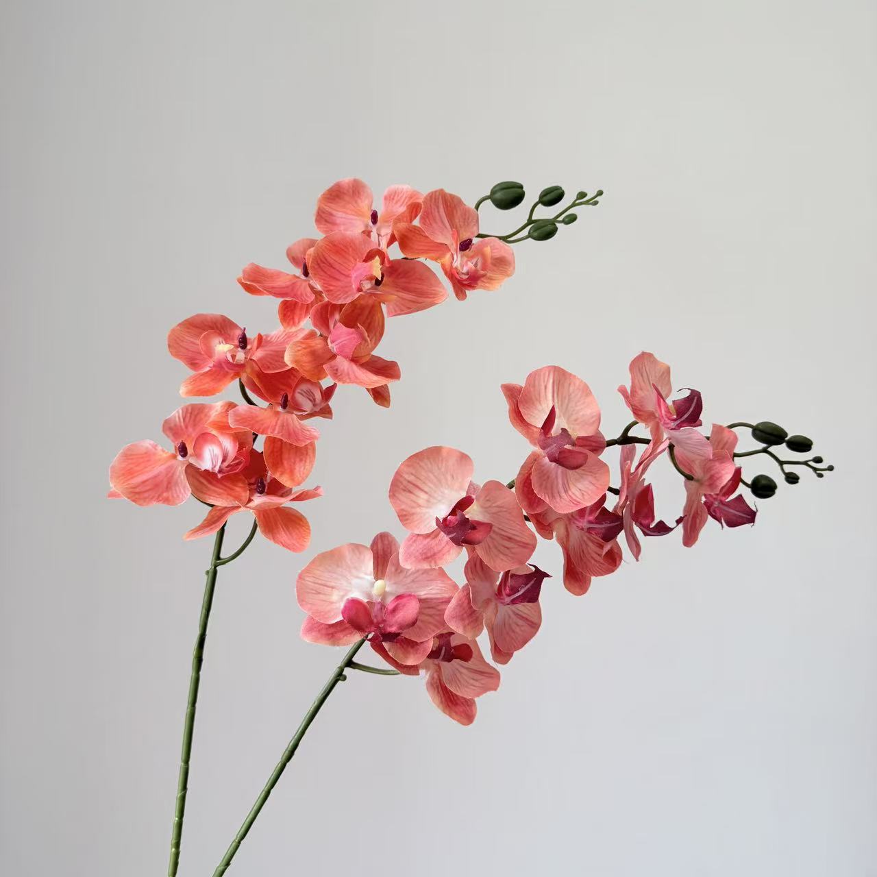 9头蝴蝶兰仿真花手感高级感逼真假花兰花艺场景布置酒店婚庆用花详情22