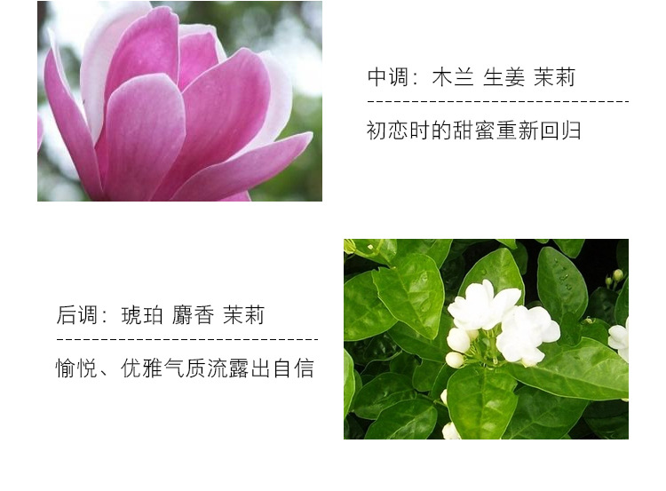 小城伊香新款真爱女士香水批发持久淡香品牌越南香水跨境外贸香水详情9