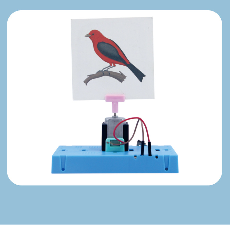 Children's science and education experiment teaching AIDS DIY science and technology small creations Primary school students' science invention material kits caged birds pic 10