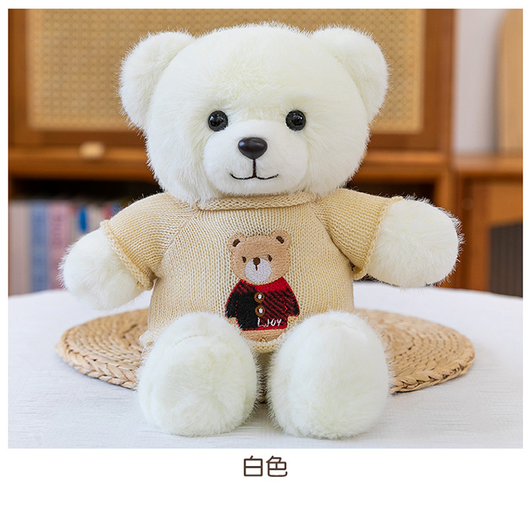 毛衣泰迪熊公仔毛衣百变小熊毛绒玩具情人节送女生布娃娃礼物熊送详情14