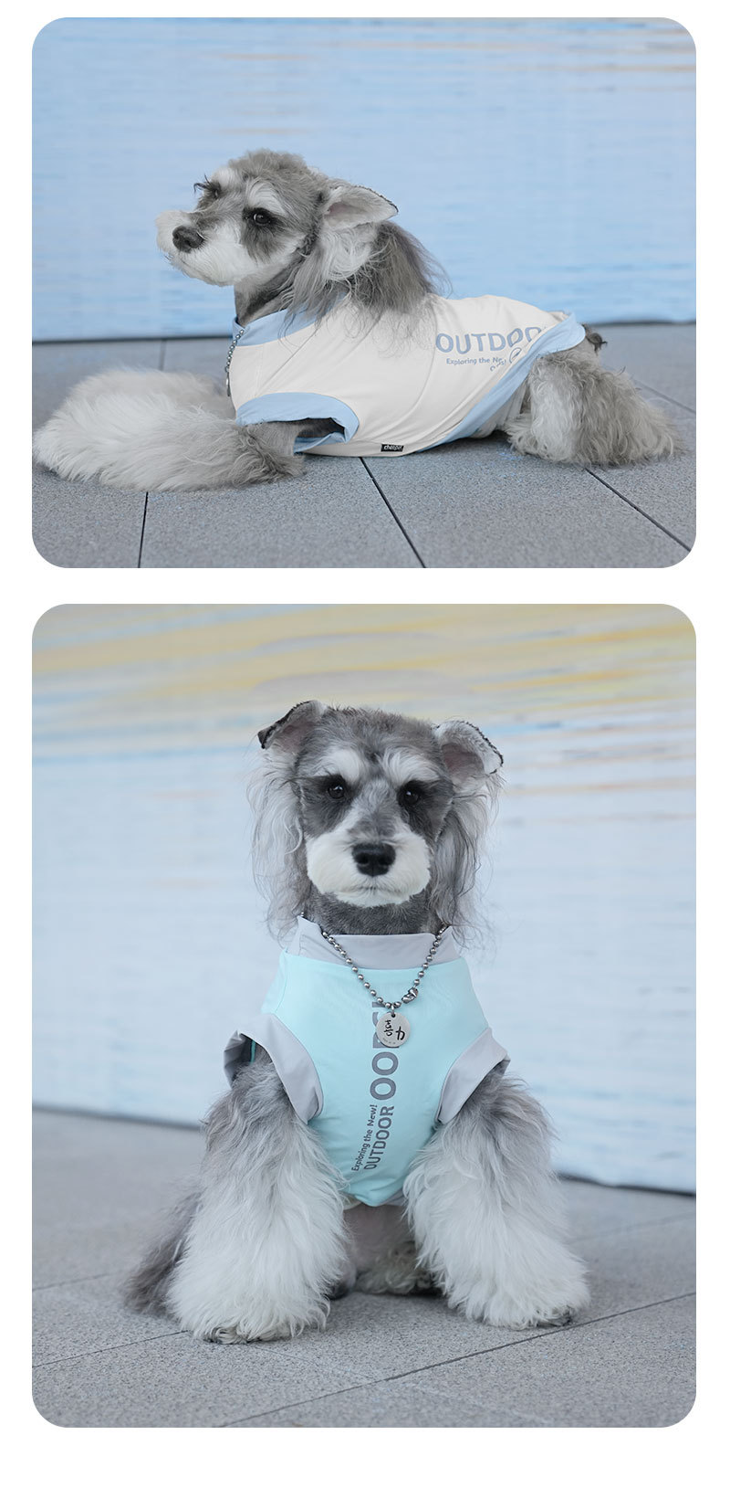 春夏季狗狗凉感两脚印花外穿服比熊雪纳瑞小狗狗衣服详情9