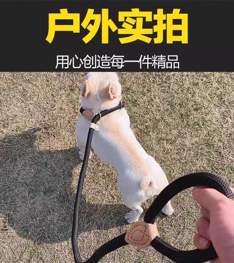 狗狗绳子防爆冲P链遛狗牵引绳防挣脱狗链子中大型犬防爆冲拴狗绳详情45