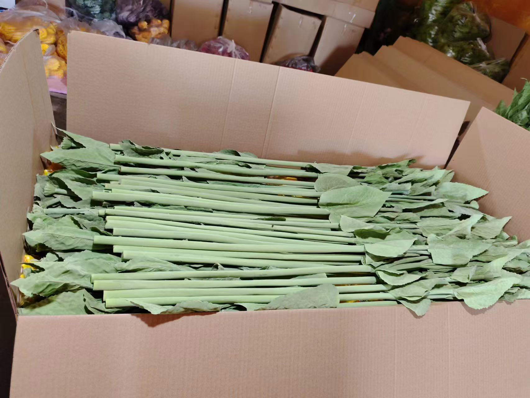 厂家直销仿真花定制菊花玫瑰花牡丹花太阳花马蹄莲向日葵芙蓉批发详情40