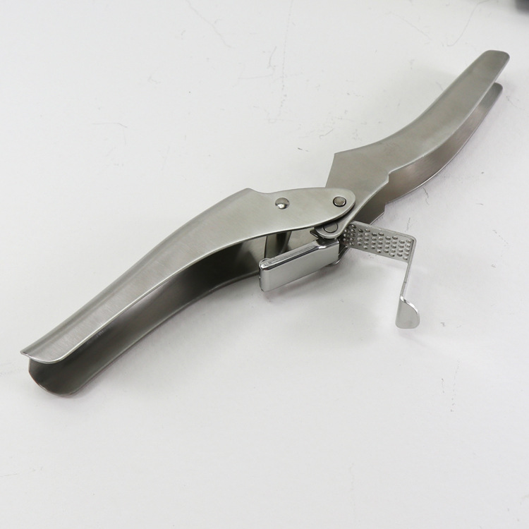 Amazon supplies 304 stainless steel garlic press, kitchen tools, garlic puree makers, durable manual garlic peelers and garlic paste makers pic 6