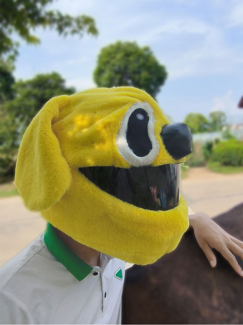 The helmet protection headgear, the Teddy cartoon male and female motorcycle, the anti-scratch puppy, the lift-off helmet, and the plush animal are so cute pic 17