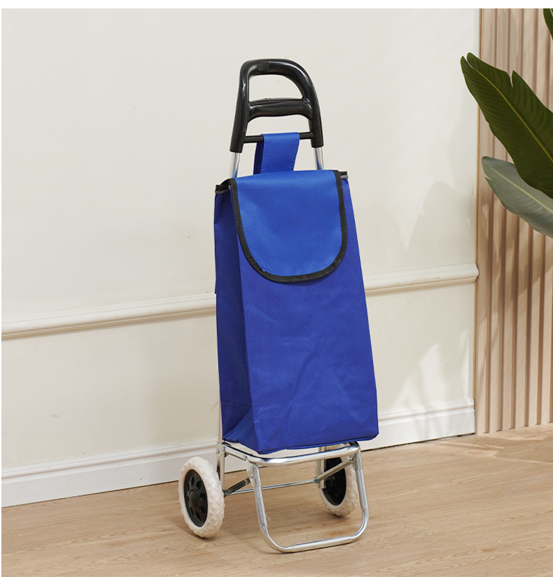 The grocery shopping trolley can climb stairs. The portable shopping cart can be printed with a logo. It is a hand-pushed trolley for the elderly to buy groceries pic 23