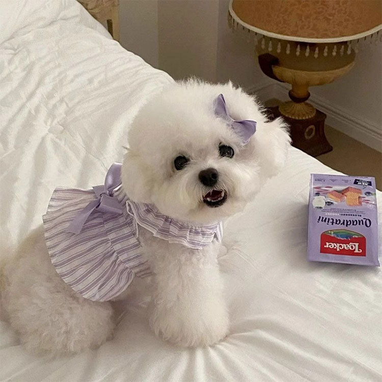 春夏季狗狗公主风可爱小飞袖条纹连衣裙猫咪蝴蝶结裙子宠物狗衣服详情6
