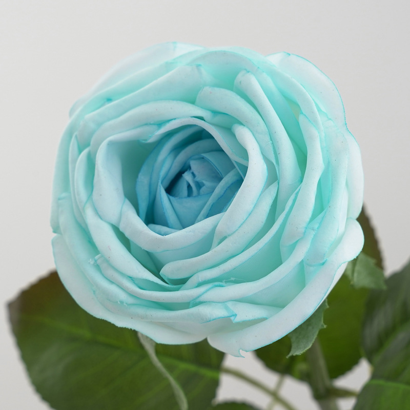 仿真单支手感保湿桑拉玫瑰 婚庆婚礼配材家居桌面装饰摄影道具详情18