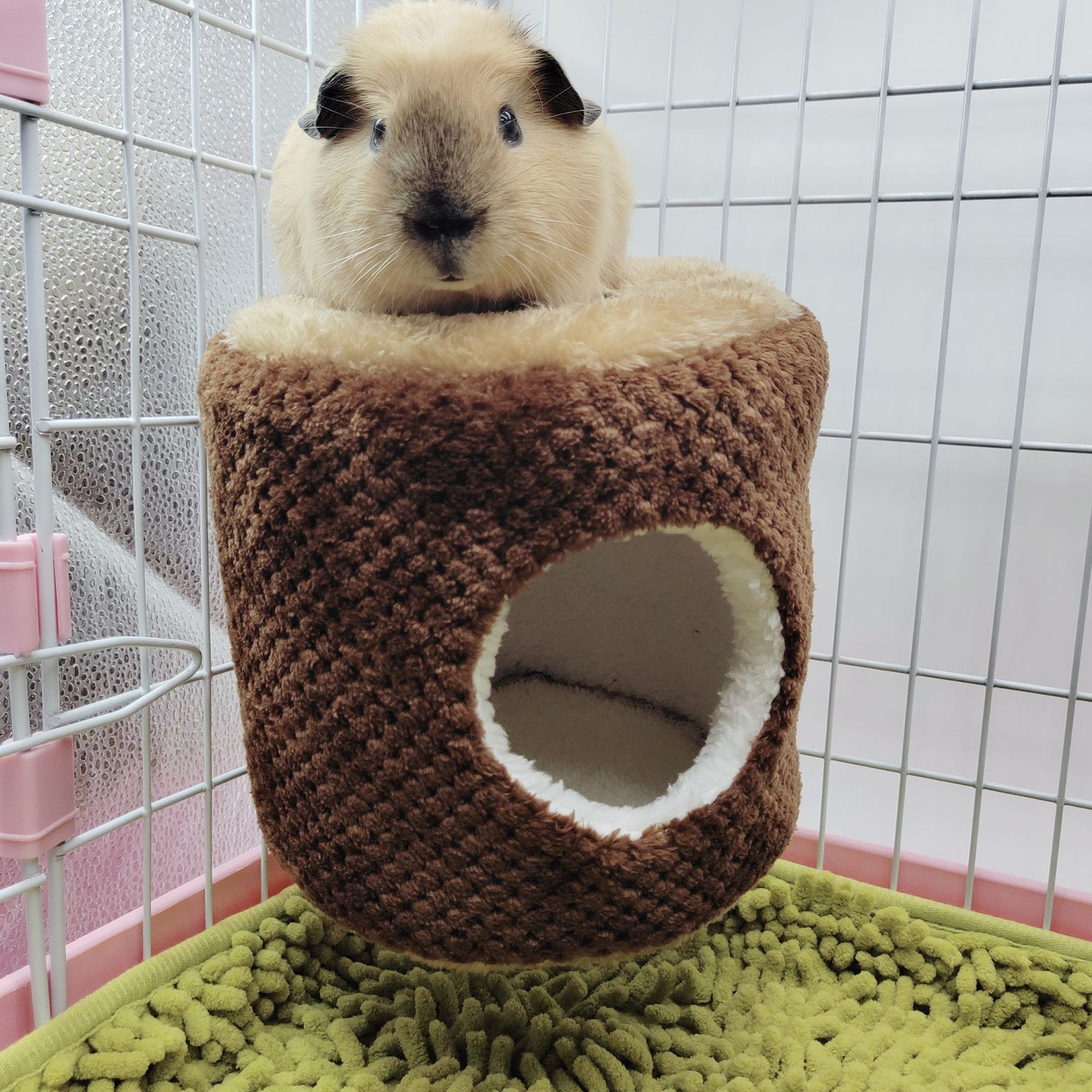Hamster nest, rabbit, Dutch pig, guinea pig nest, sugar glider, squirrel, warm cotton nest, hammock, guinea pig nest, pet supplies pic 9